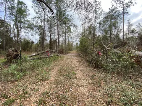 Cr 772b, Webster, FL 33597 photo 19