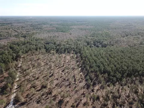 Cr 772b, Webster, FL 33597 photo 26