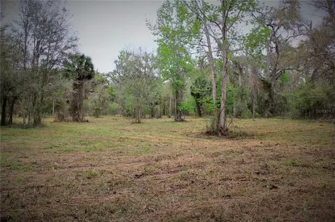 Cr 772b, Webster, FL 33597 photo 9
