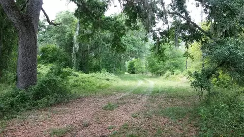 Cr 772b, Webster, FL 33597 photo 12