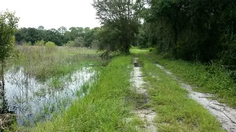 Cr 772b, Webster, FL 33597 photo 21