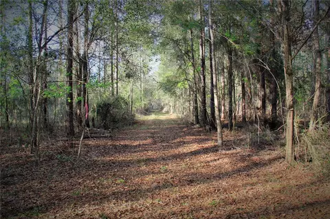 Cr 772b, Webster, FL 33597 photo 7