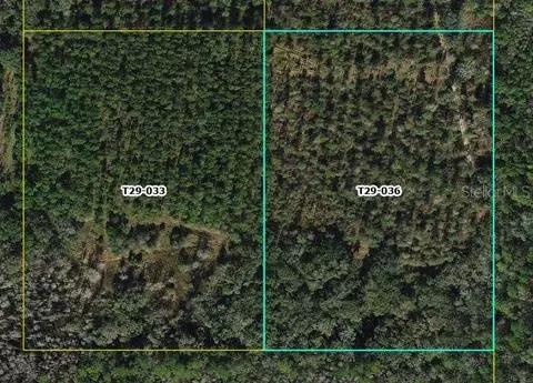 Cr 772b, Webster, FL 33597 photo 3