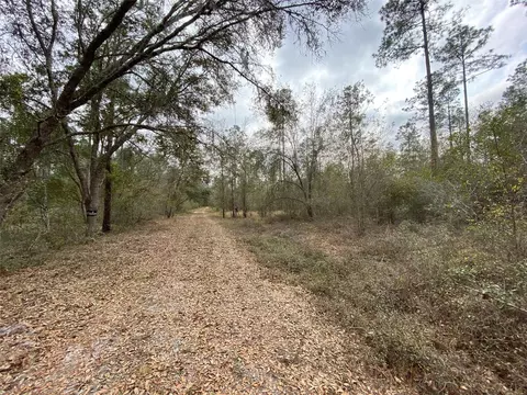 Cr 772b, Webster, FL 33597 photo 18