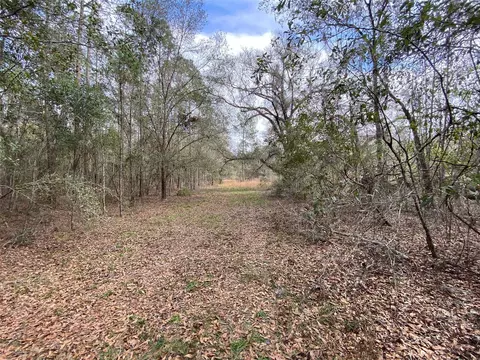 Cr 772b, Webster, FL 33597 photo 17