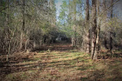 Cr 772b, Webster, FL 33597 photo 24
