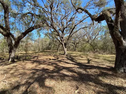 Cr 772b, Webster, FL 33597 photo 16