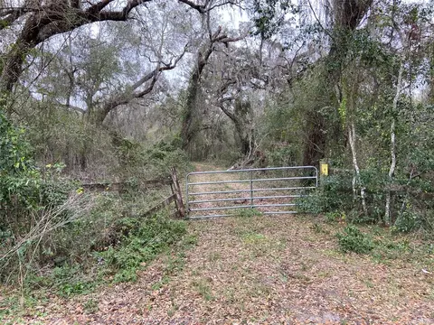 Cr 772b, Webster, FL 33597 photo 20