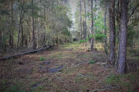 Cr 772b, Webster, FL 33597 photo 4