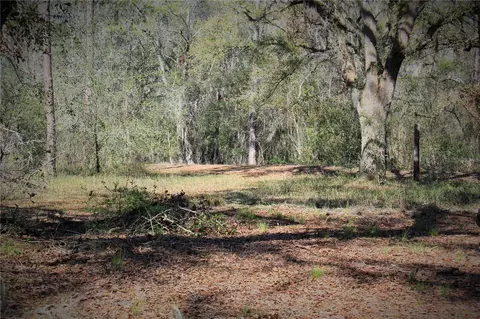Cr 772b, Webster, FL 33597 photo 22