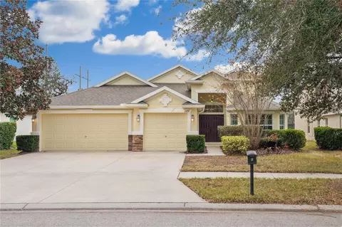 15719 Starling Water Dr, Lithia, FL 33547