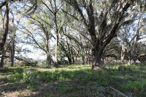 Cr 48, Bushnell, FL 33513