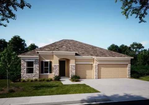 9995 Dolphin Gull Cir, Thonotosassa, FL 33592