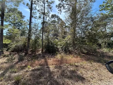 3420 Western Tanager St #LT 9, Lake Placid, FL 33852