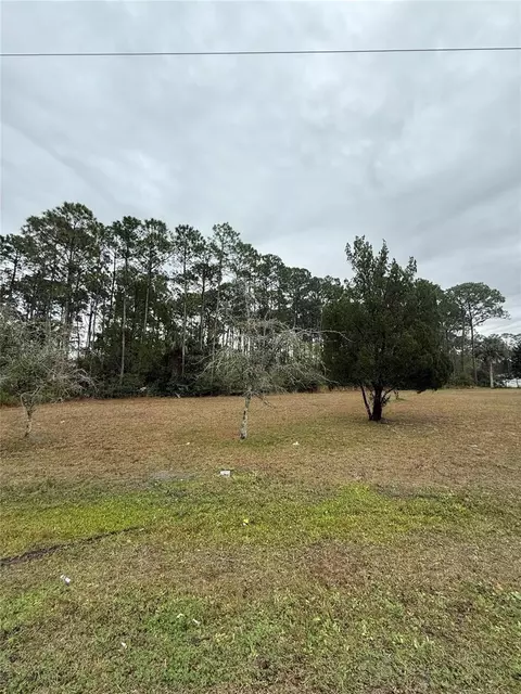245 Ullian Trl, Palm Coast, FL 32164