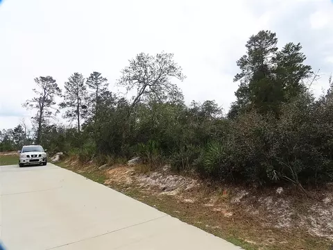 71 Orchid Ct, Kissimmee, FL 34759