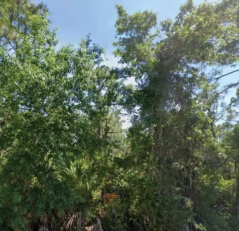 3304 Lake Hill Dr, Lake Placid, FL 33852