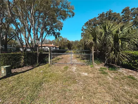 Morton Jones Road, Gotha, FL 34734