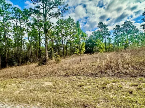 lot41 SE 131 Ter, Dunnellon, FL 34431