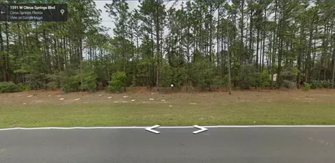 1591 W Citrus Springs Blvd, Citrus Springs, FL 34434