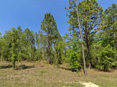NE 9th Street, Williston, FL 32696