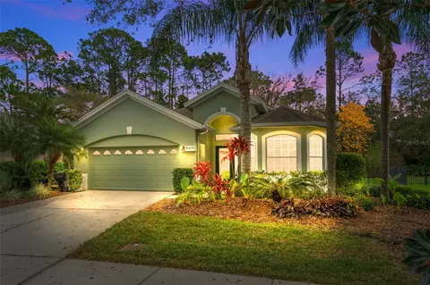 10290 Cypress Vine Dr, Orlando, FL 32827