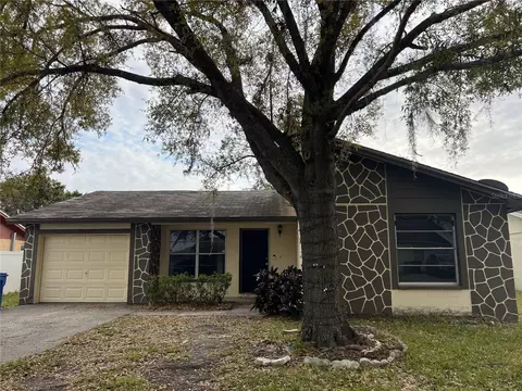 10116 Hunters Point Ct, Tampa, FL 33615