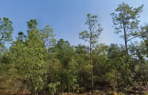 4119 W Firewood Loop, Dunnellon, FL 34433