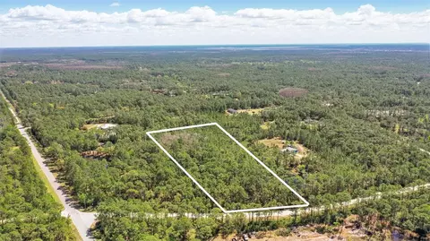 1185 Gopher Slough Rd, Mims, FL 32754