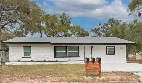 416 W Ianthe St, Tavares, FL 32778