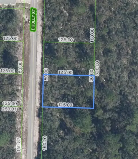 Ramiro Street, Lake Placid, FL 33852