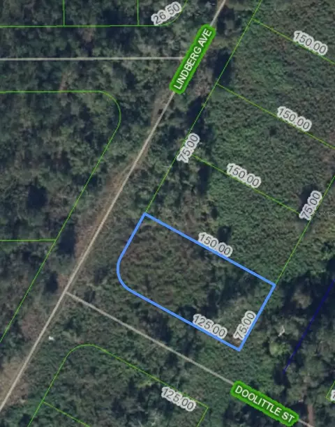 1501 Lindberg Ave, Lake Placid, FL 33852