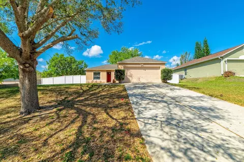 15733 Switch Cane St, Clermont, FL 34711