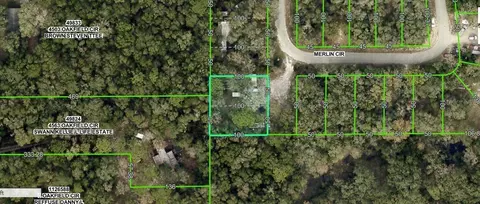 4809 Merlin Cir, Ridge Manor, FL 33523