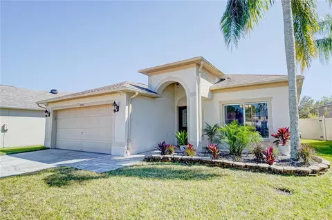 27452 Amelia Isle Ct, Wesley Chapel, FL 33544