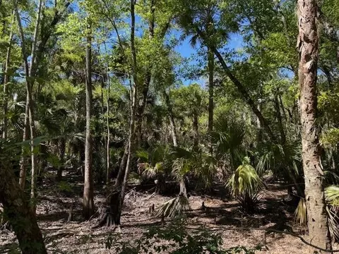 Lake Harney Road, Osteen, FL 32764