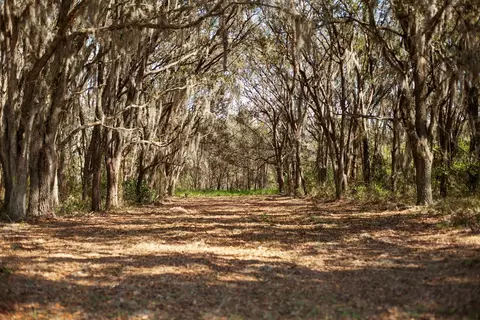 8000 Pine Island Rd, Clermont, FL 34711