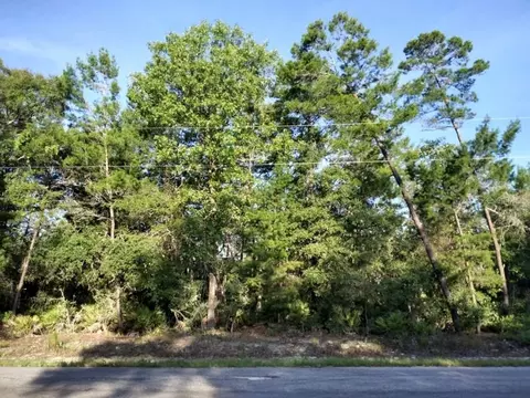 tbd Sequoia Trail Way, Ocklawaha, FL 32179