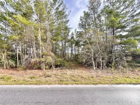 Azalea Avenue, Paisley, FL 32767