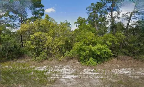 215 217 Treasurer Ave NE, Lake Placid, FL 33852