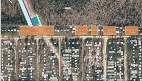 228 Rome Ave, Interlachen, FL 32148 photo 3