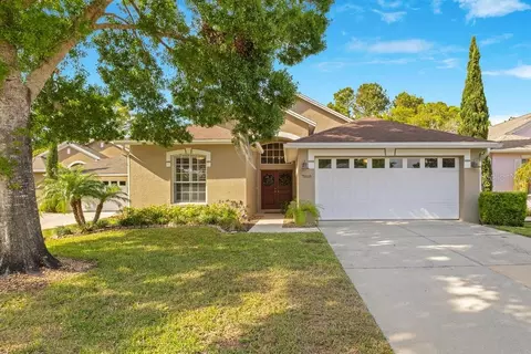 7018 Arcadian Ct, Mount Dora, FL 32757