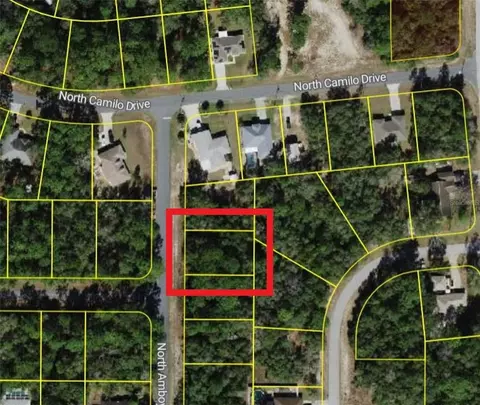 9055 N Amboy Dr, Citrus Springs, FL 34433