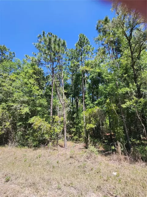 west 1/2 of lot 2, Ocala, FL 34481