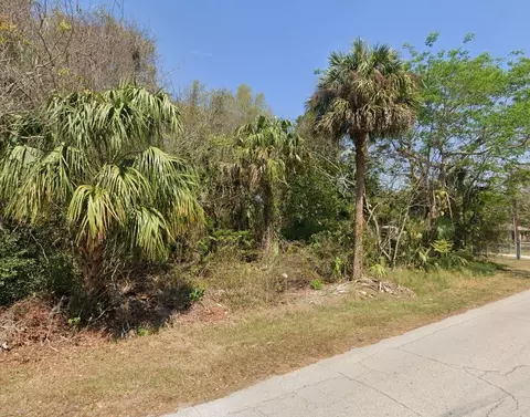 Longwood Drive, Osteen, FL 32764