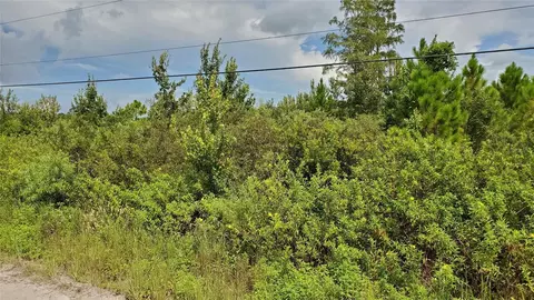 Quail Nest Lane, New Smyrna Beach, FL 32168