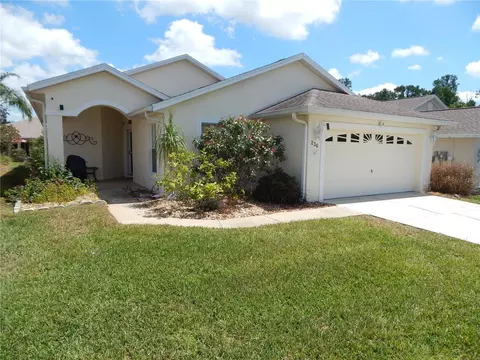 236 Ridge View Dr, Davenport, FL 33837