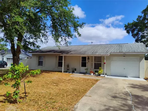 509 Dorothy Cir, Eustis, FL 32726 photo 1