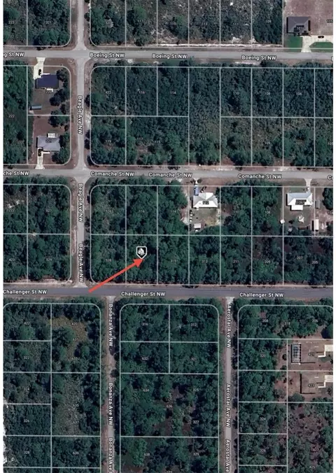 317 Challenger St NW, Lake Placid, FL 33852