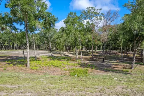 29901 State Road 44, Eustis, FL 32736 photo 15
